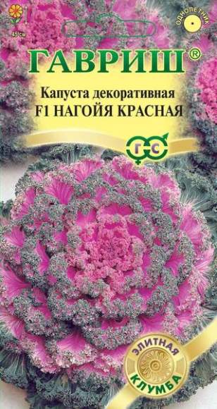 Капуста декоративная Нагойя красная F1 (гавриш) 6 шт – купить в г. Москва Капуста декоративная Нагойя красная F1 (гавриш) 6 шт – купить в г. Москва