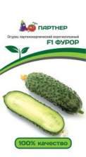 Огурец Фуро (Фурор) F1 (пар) 5шт