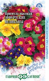 Примула Эрфуртские великаны (гавриш) 20 шт Примула Эрфуртские великаны (гавриш) 20 шт