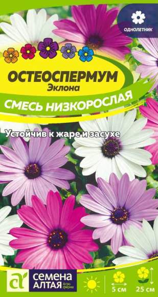 Остеоспермум Эклона низкорослая смесь (семена Алтая) 0,1гр 