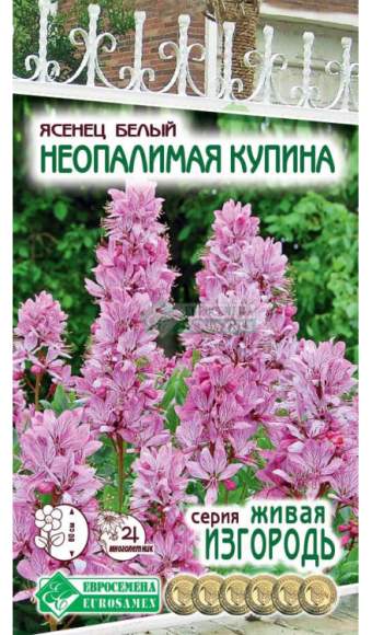 Ясенец Неопалимая купина (евро семена) 10шт 