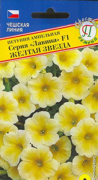 Петуния ампельная Лавина Желтая звезда F1 (престиж) 5 шт – купить в г. Москва Петуния ампельная Лавина Желтая звезда F1 (престиж) 5 шт – купить в г. Москва
