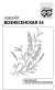 Лаванда Вознесенская (гавриш) белый пакет 0,05 гр  – купить в г. Москва