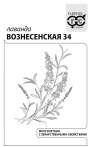 Лаванда Вознесенская (гавриш) белый пакет 0,05 гр