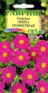 Георгина Лента пурпурная (гавриш) 0,2 гр