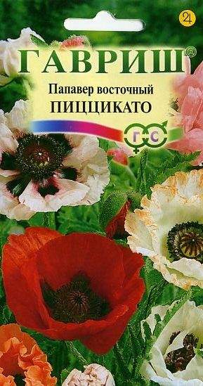 Мак Восточный Многолетний Купить Семена