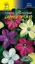 Душистый декоративный табак Дивный аромат (цветущий сад) 0,2 гр  – купить в г. Москва
