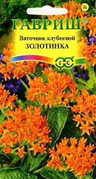 Ваточник Золотинка (гавриш) 0,03 гр