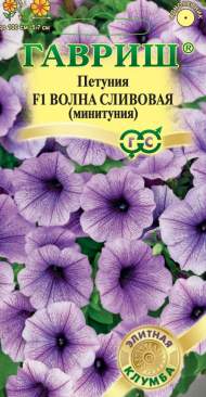 Петуния суперкаскадная Волна сливовая F1 минитуния (гавриш) 4 шт Петуния суперкаскадная Волна сливовая F1 минитуния (гавриш) 4 шт