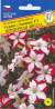Петуния ампельная Лавина Пурпурная звезда F1 (престиж) 10 шт  – купить в г. Москва