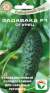 Огурец Задавака F1 (сибирский сад) 7 шт  – купить в г. Москва