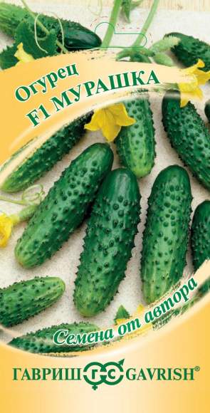 Огурец Мурашка F1 (гавриш) 10шт – купить в г. Москва Огурец Мурашка F1 (гавриш) 10шт – купить в г. Москва