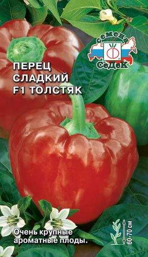 Перец сорт толстячок. Перец знатный толстяк f1. перец сладкий знатный толстяк f1. перец сладкий толстячок. перец сорт толстяк.