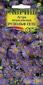 Астра итальянская Рудольф Гете (гавриш) 0,05гр многолетняя Астра итальянская Рудольф Гете (гавриш) 0,05гр многолетняя
