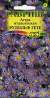 Астра итальянская Рудольф Гете (гавриш) 0,05гр многолетняя  – купить в г. Москва