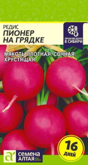 Редис Пионер на грядке (семена Алтая) 1,0гр  – купить в г. Москва