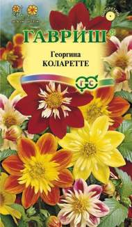 Георгина Коларетте (гавриш) 0,2 гр