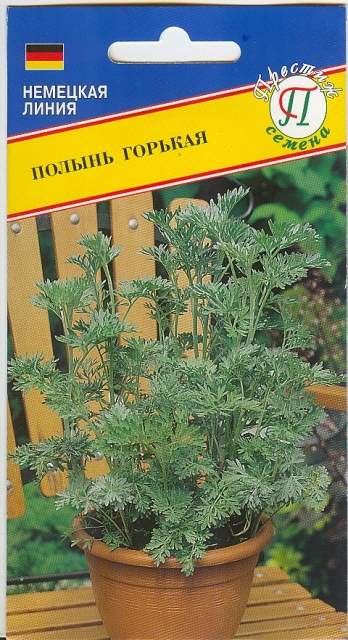 Семена Полыни Горькой Купить