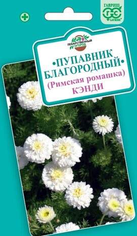 Ромашка римская Кэнди (пупавник) (гавриш) 0,05 гр