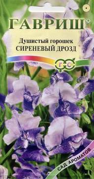 Душистый горошек Сиреневый дрозд (гавриш) 0,5гр Душистый горошек Сиреневый дрозд (гавриш) 0,5гр
