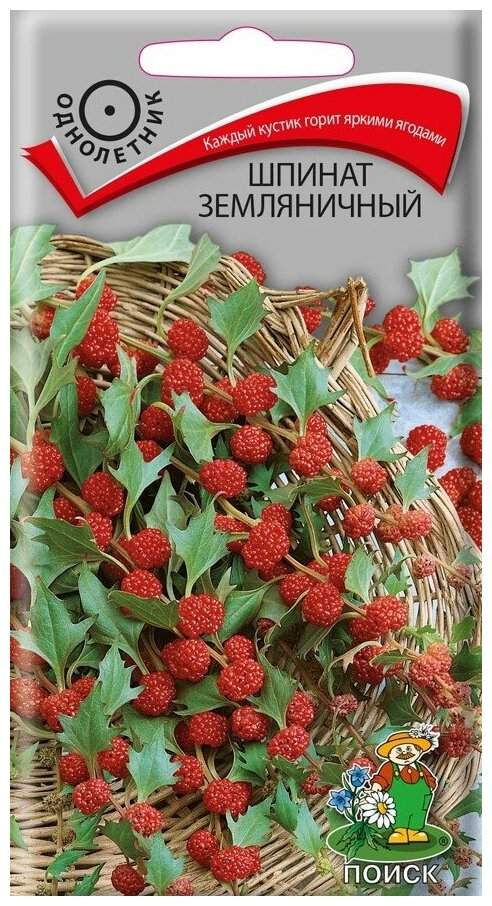 Где Купить Семена Шпинат Земляника