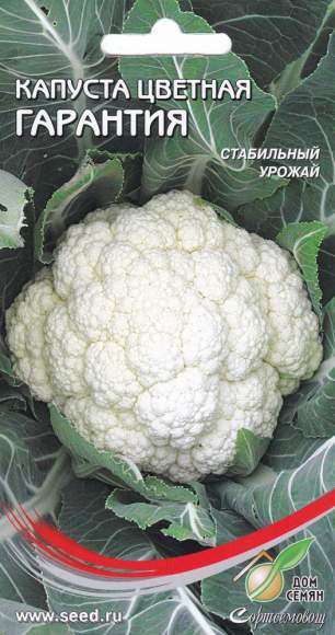 Капуста цветная Гарантия (дс) 60шт  – купить в г. Москва
