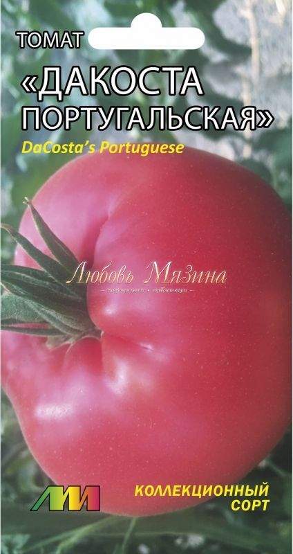 томат дакоста португальская