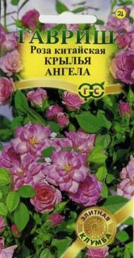 Роза китайская Крылья ангела (гавриш) 5 шт