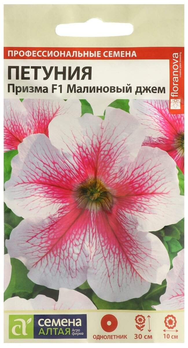 Купить Семена Петуния Оптом Недорого