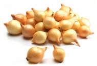  Лук-севок Штуттгартер-ризен 10-21мм  (Россия)  