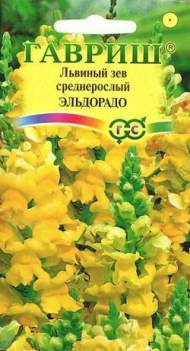 Антирринум (львиный зев) Эльдорадо (гавриш) 0,05 гр Антирринум (львиный зев) Эльдорадо (гавриш) 0,05 гр