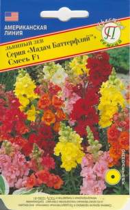 Львиный зев Мадам Баттерфляй F1 (престиж) 10 шт Львиный зев Мадам Баттерфляй F1 (престиж) 10 шт