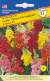 Львиный зев Мадам Баттерфляй F1 (престиж) 10 шт  – купить в г. Москва