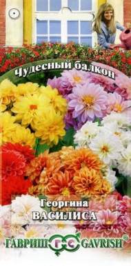 Георгина Василиса (гавриш) 0,3гр Георгина Василиса (гавриш) 0,3гр
