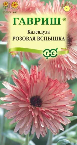 Календула Розовая вспышка (гавриш) 0,2 гр Календула Розовая вспышка (гавриш) 0,2 гр