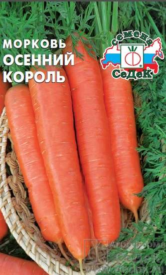 Морковь Осенний Король Отзывы Фото