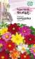 Георгина Чародейка (гавриш) 0,3гр  – купить в г. Москва