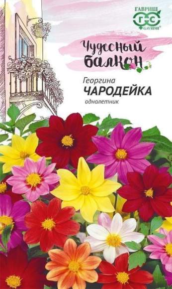 Георгина Чародейка (гавриш) 0,3гр  – купить в г. Москва