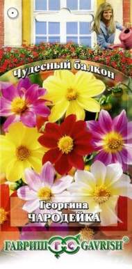 Георгина Чародейка (гавриш) 0,3гр Георгина Чародейка (гавриш) 0,3гр