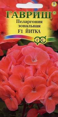 Пеларгония Йитка F1 (г) 4шт Пеларгония Йитка F1 (г) 4шт