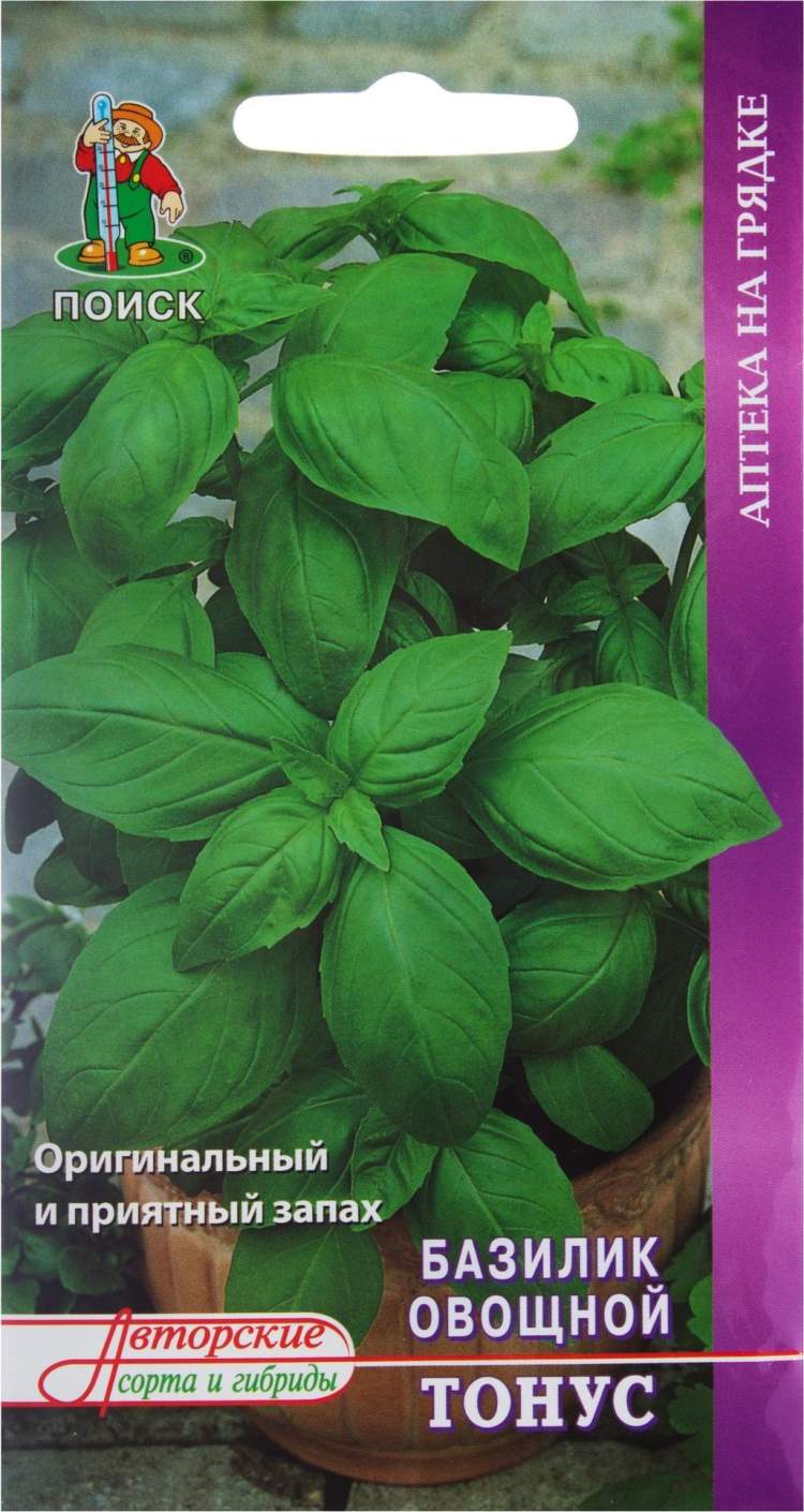 Базилик овощной зеленый голландские семена. Базилик "зеленый". Базилик сорт тонус. Базилик сорт тонус. Базилик тонус поиск.