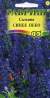 Сальвия Синее небо (гавриш) 0,05гр  – купить в г. Москва