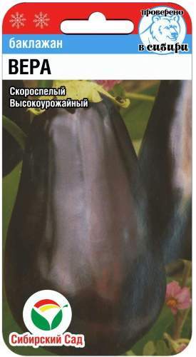 Баклажан Вера (сибирский сад) 20 шт  – купить в г. Москва