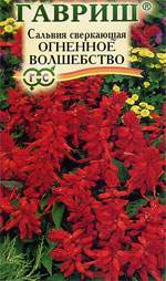 Сальвия (шалфей) Огненное волшебство (гавриш) 0,05 гр