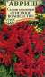 Сальвия (шалфей) Огненное волшебство (гавриш) 0,05 гр  – купить в г. Москва