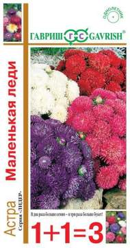 Астра Маленькая леди (1+1=3) 0,6гр (гавриш) Астра Маленькая леди (1+1=3) 0,6гр (гавриш)