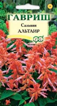 Сальвия Альтаир (г) 4шт Сальвия Альтаир (г) 4шт