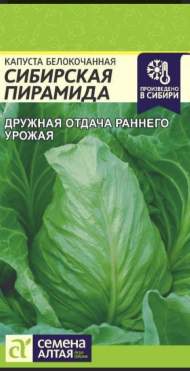 Капуста белокочанная Сибирская пирамида (семена Алтая) 0,3 гр