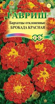 Бархатцы Брокада красная (гавриш) 0,3 гр