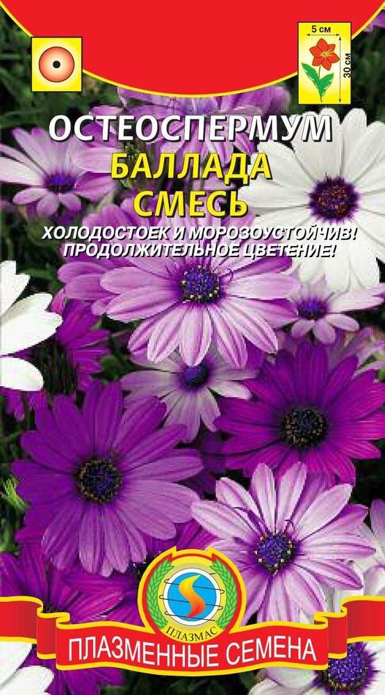 Остеоспермум Купить Семена В Магазине